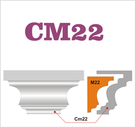 CM22 F