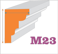 M23 F